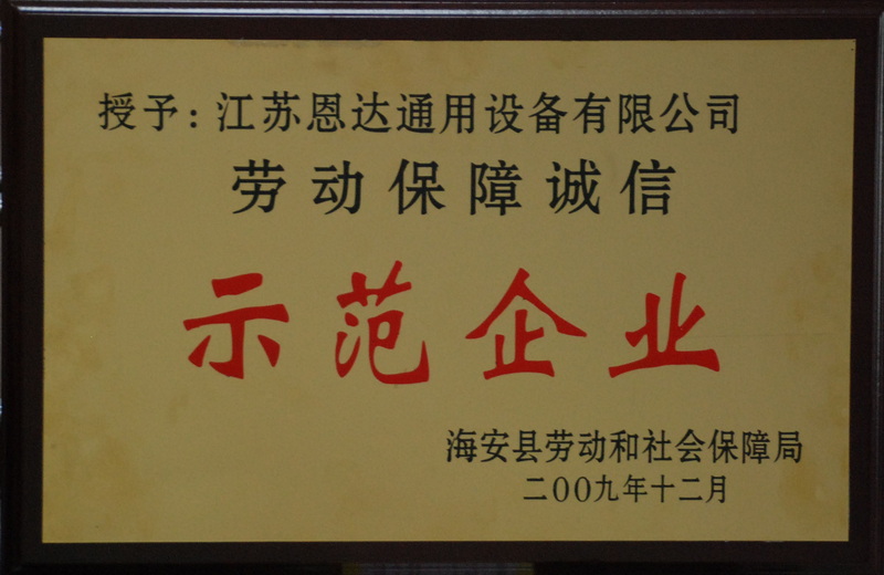 2009年勞動(dòng)保障誠(chéng)信示范企業(yè)